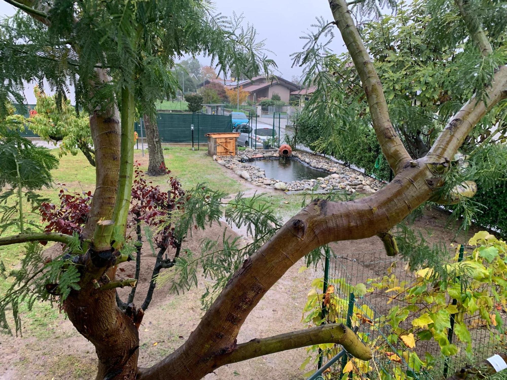 Bed & Breakfast Indi Thelar Villa Guardia Kültér fotó